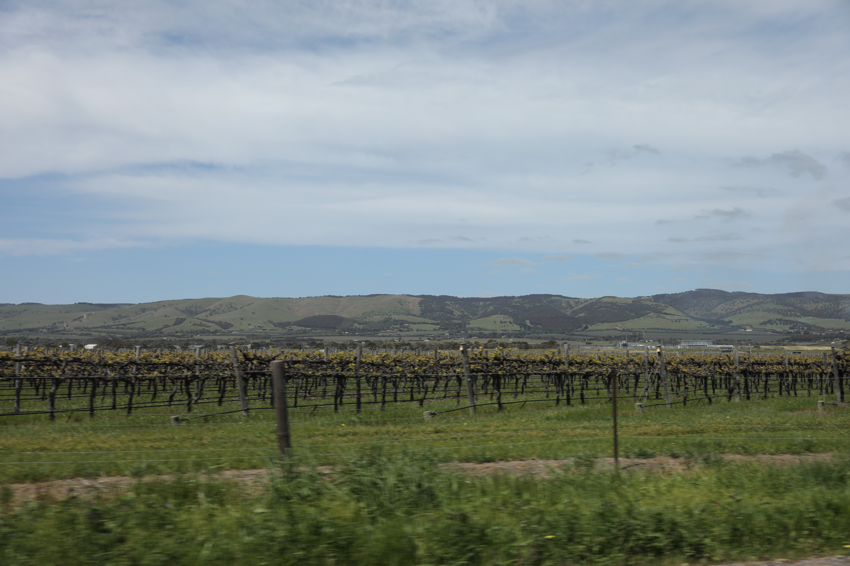 2019 09 28 12 14 54 Canon EOS 5D Mark IV 0001